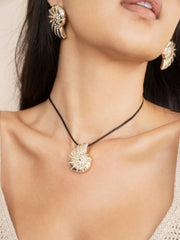 Chunky Nautilus Shell Set